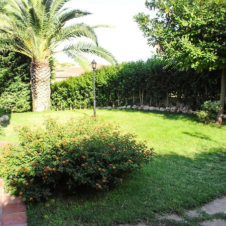 Domus Dams B&B Montescaglioso Εξωτερικό φωτογραφία