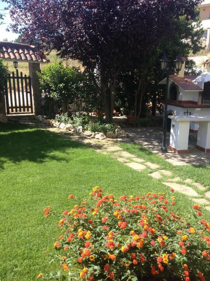 Domus Dams B&B Montescaglioso Εξωτερικό φωτογραφία